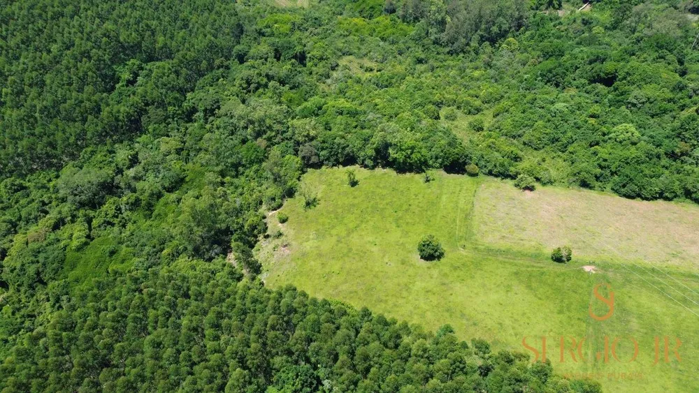 Chácara, 4 quartos, 5 hectares - Foto 6