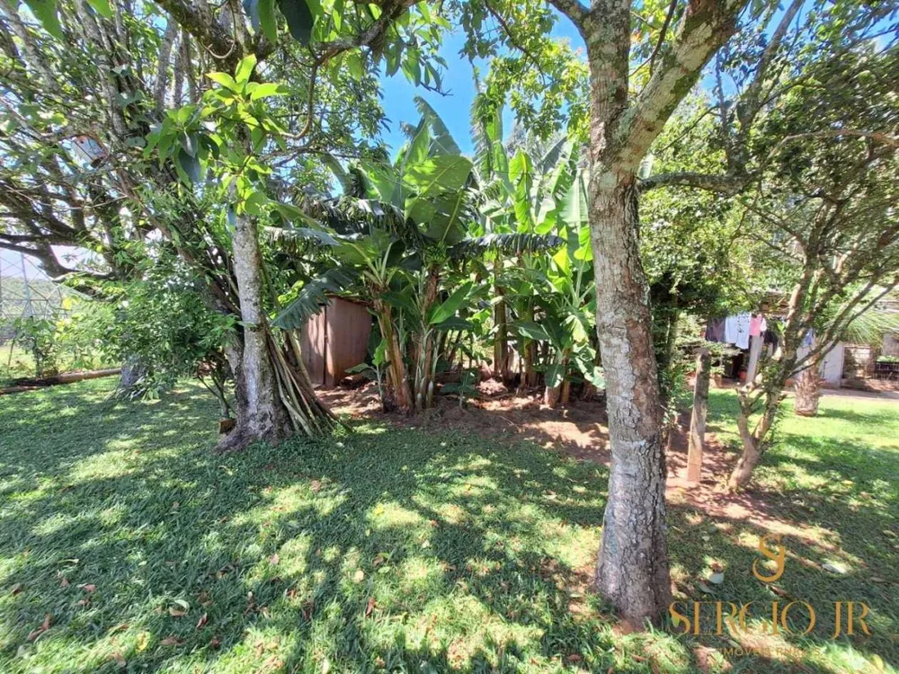Chácara, 4 quartos, 5 hectares - Foto 15