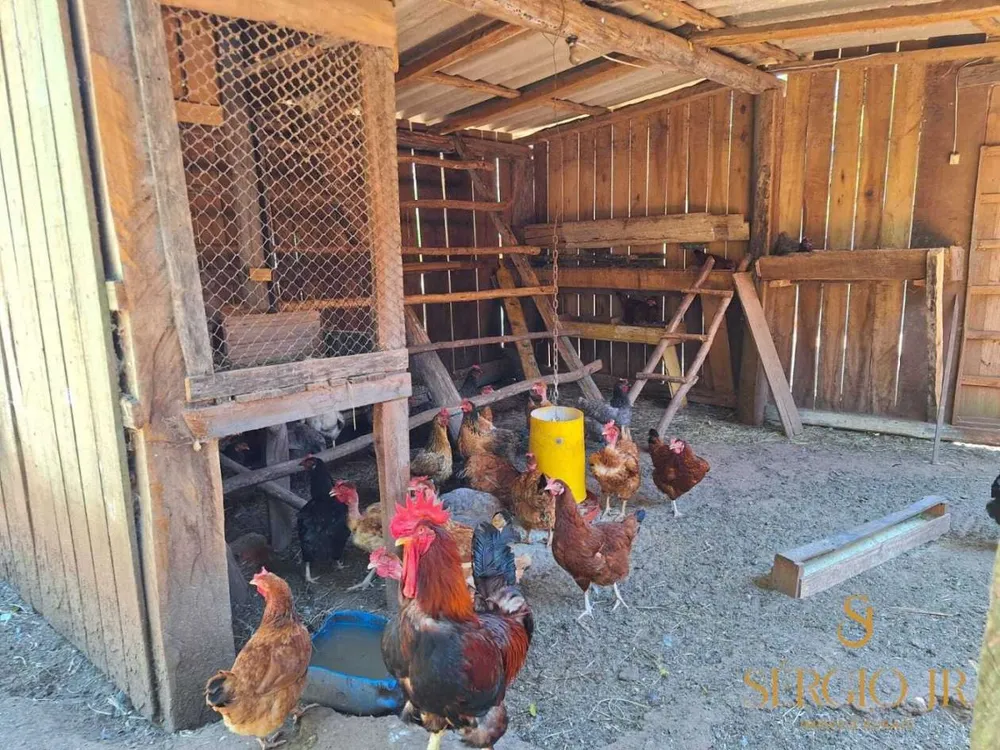 Chácara, 4 quartos, 5 hectares - Foto 14