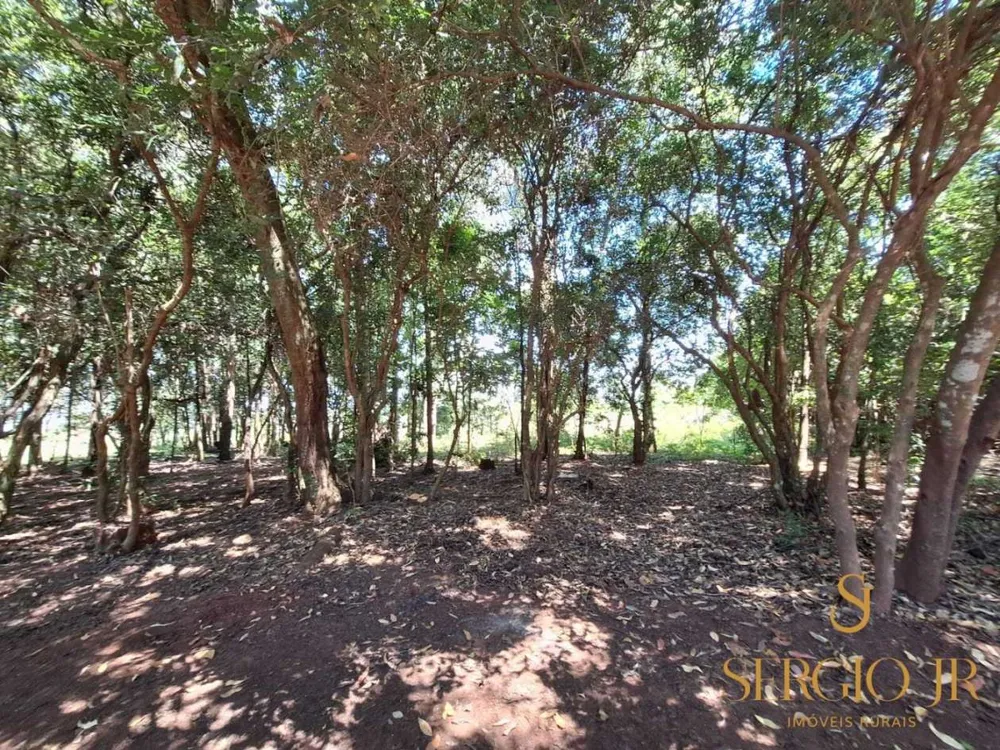 Chácara, 2 quartos, 2 hectares - Foto 12