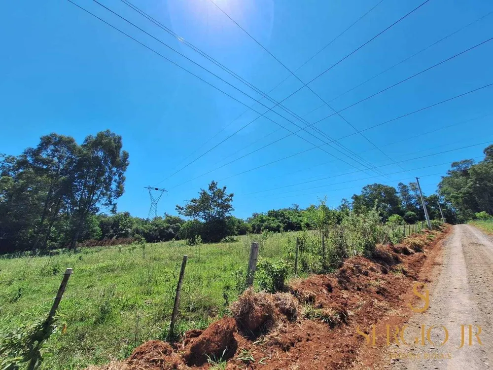 Chácara, 2 quartos, 2 hectares - Foto 15