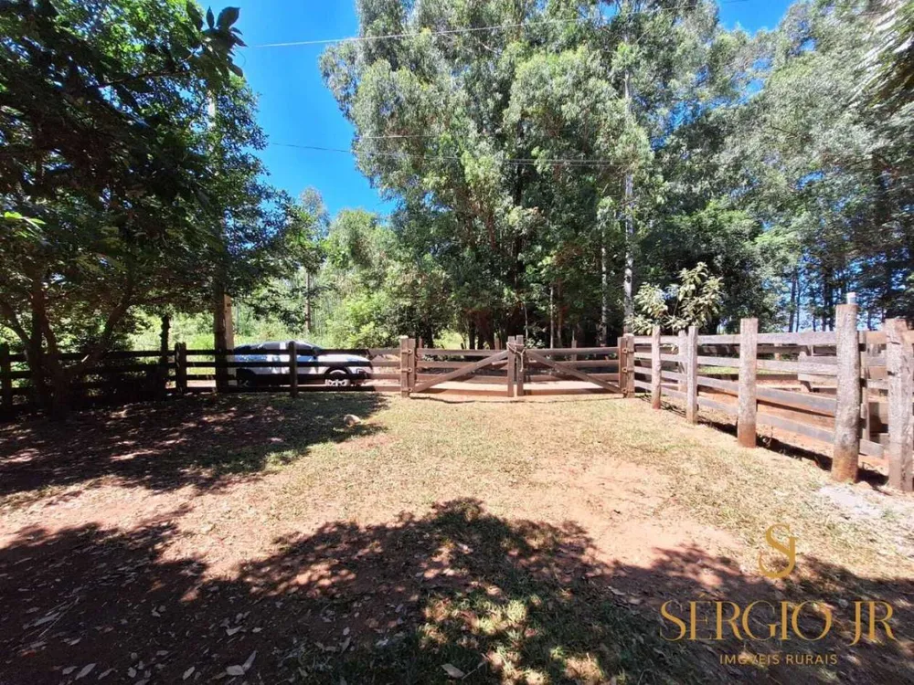 Chácara, 2 quartos, 2 hectares - Foto 14