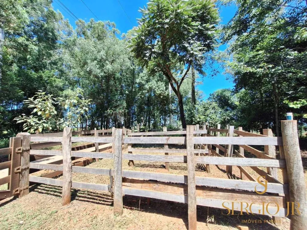 Chácara, 2 quartos, 2 hectares - Foto 9