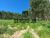 Terreno, 900 m² - Foto 13