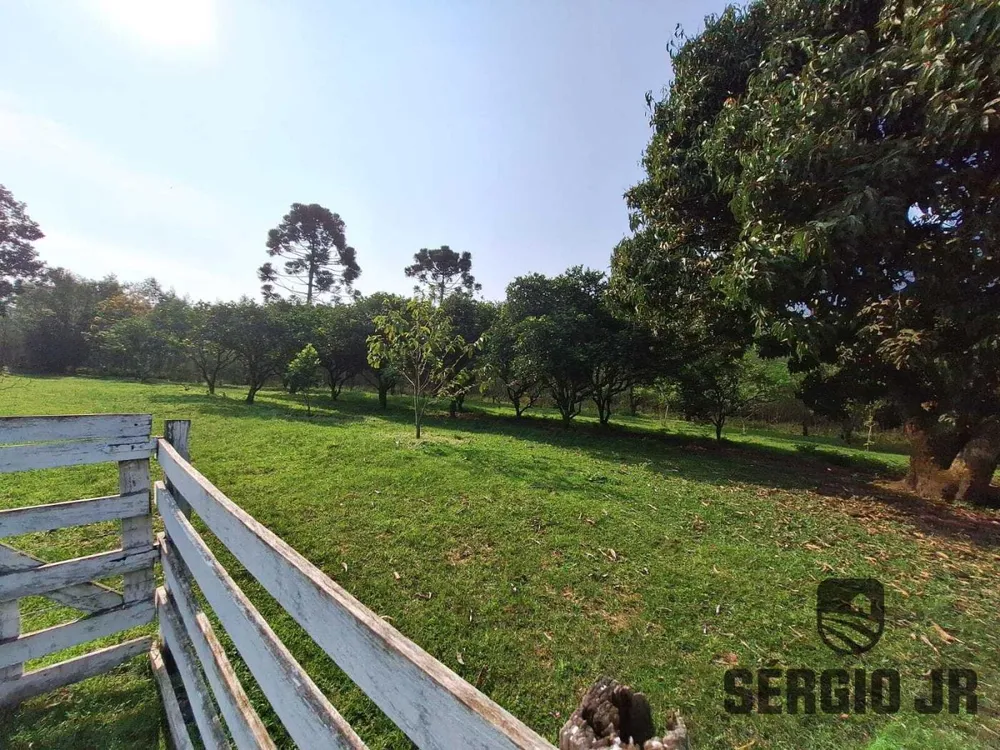 Sítio, 5 quartos, 4 hectares - Foto 12