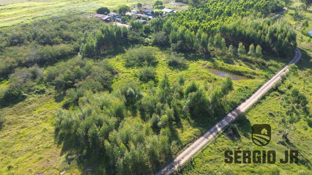 Sítio à venda com 1 quarto, 13000m² - Foto 2