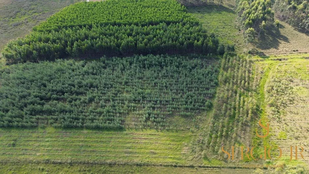 Loteamento e Condomínio, 11 hectares - Foto 6