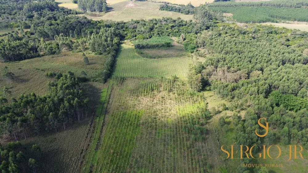 Loteamento e Condomínio, 11 hectares - Foto 4