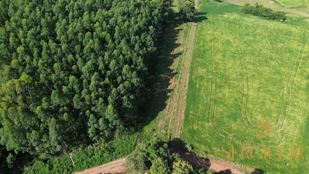 Loteamento e Condomínio, 11 hectares - Foto 8