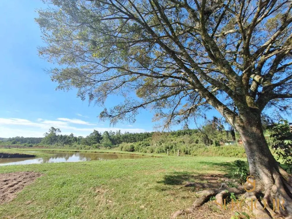Chácara, 4 quartos, 5248 m² - Foto 5