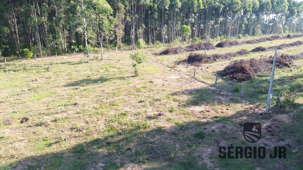 Loteamento e Condomínio, 6154 m² - Foto 5