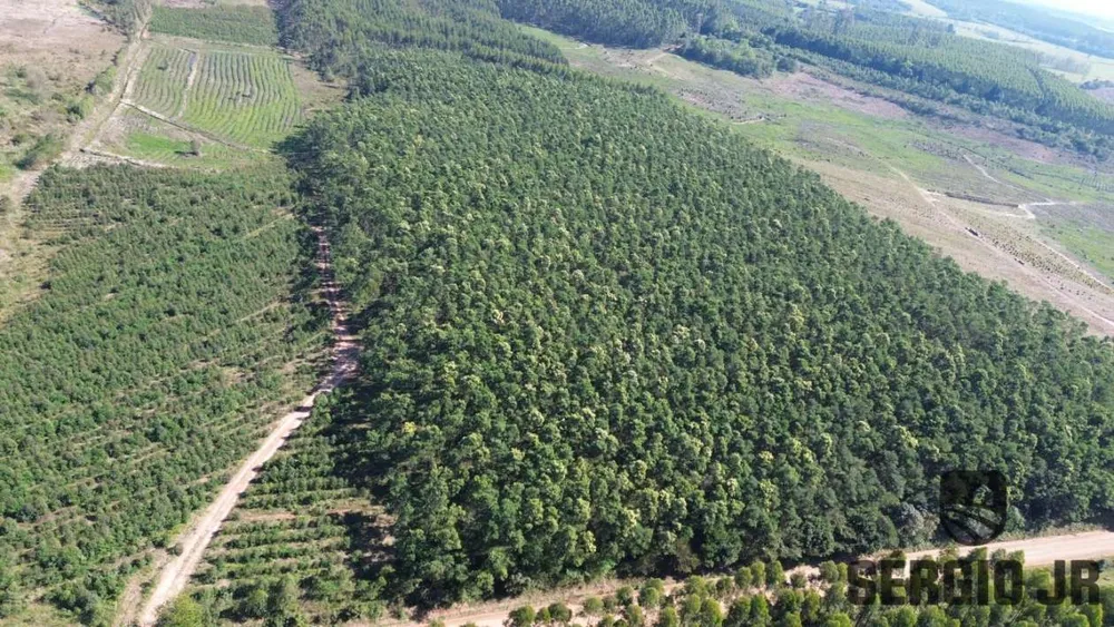 Loteamento e Condomínio, 30 hectares - Foto 15