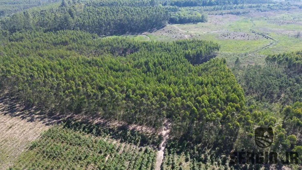 Loteamento e Condomínio, 30 hectares - Foto 11