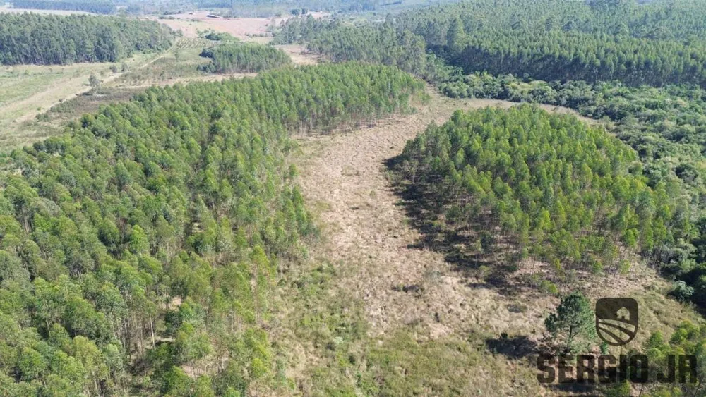 Loteamento e Condomínio, 30 hectares - Foto 6