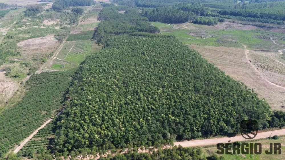 Loteamento e Condomínio, 30 hectares - Foto 14