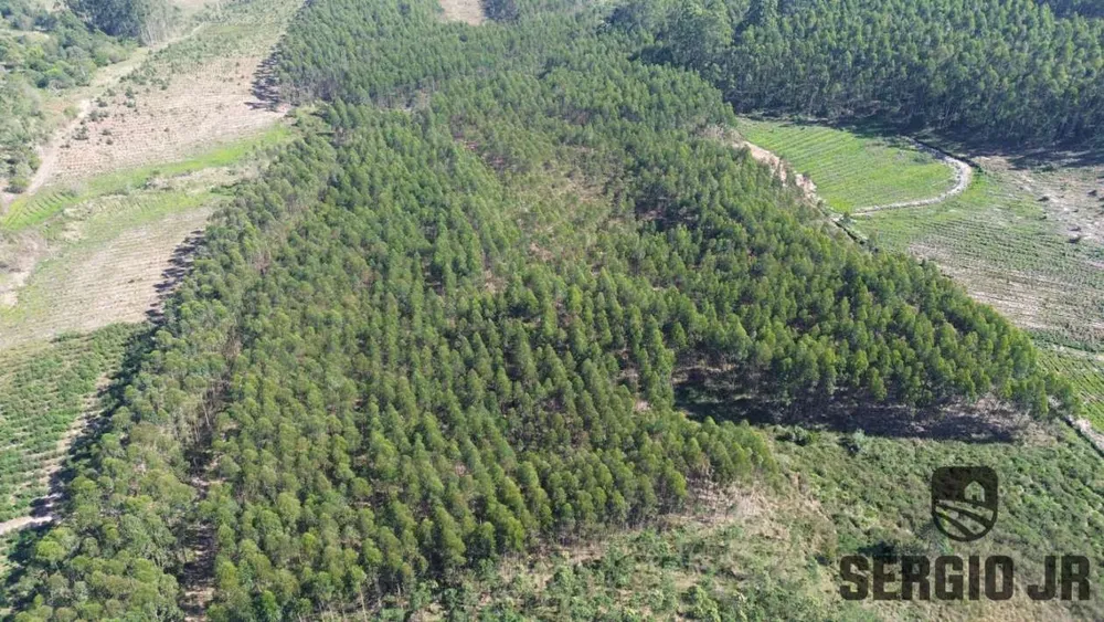 Loteamento e Condomínio, 30 hectares - Foto 3