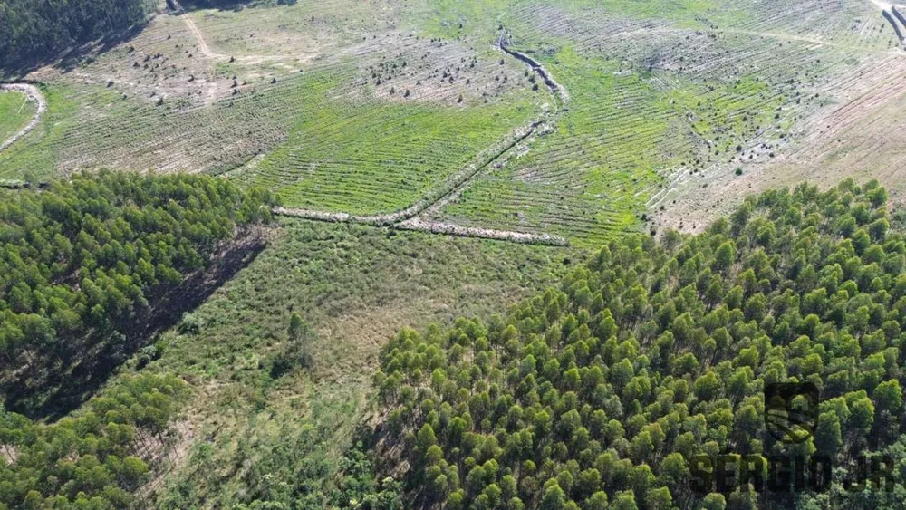 Loteamento e Condomínio, 30 hectares - Foto 4