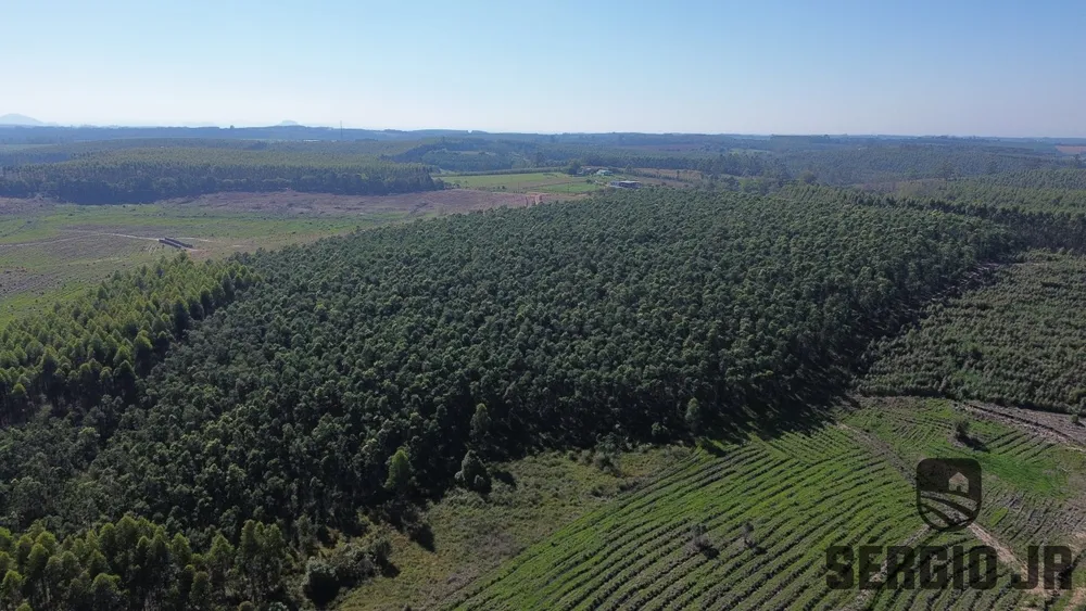 Loteamento e Condomínio, 30 hectares - Foto 12