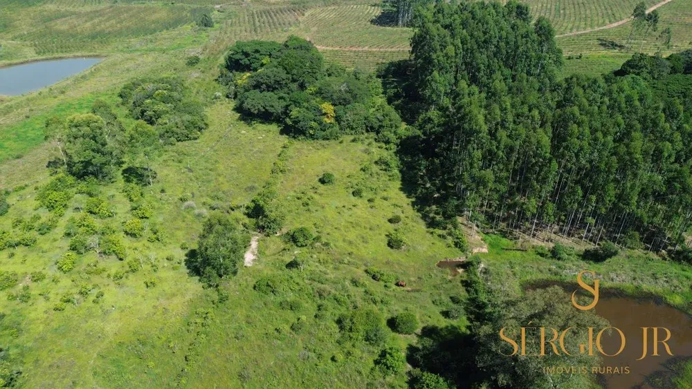 Chácara, 2 quartos, 4 hectares - Foto 2