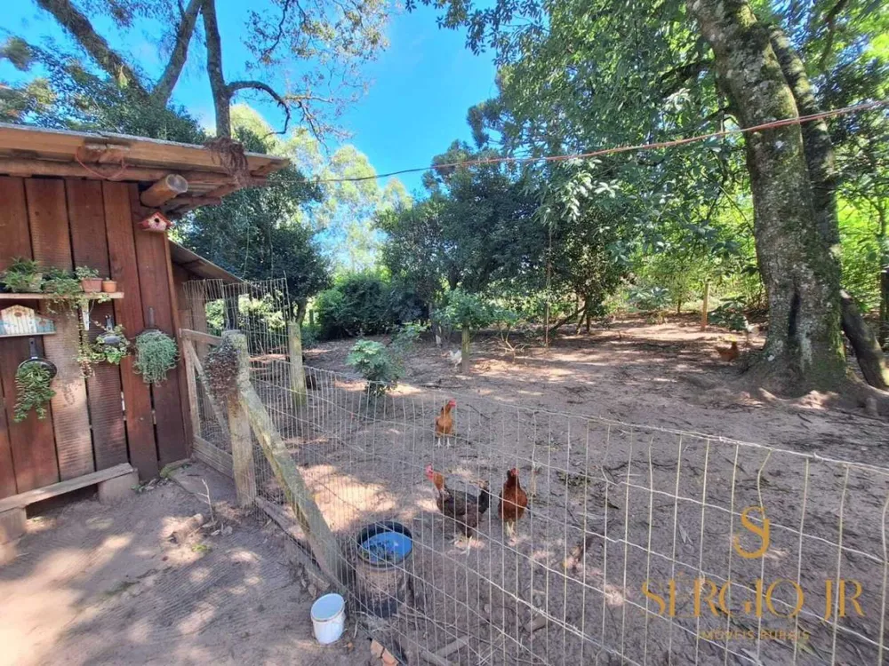 Chácara, 2 quartos, 4 hectares - Foto 6