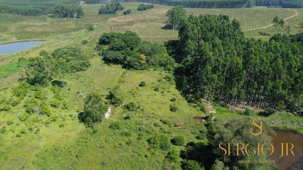 Chácara, 2 quartos, 4 hectares - Foto 1