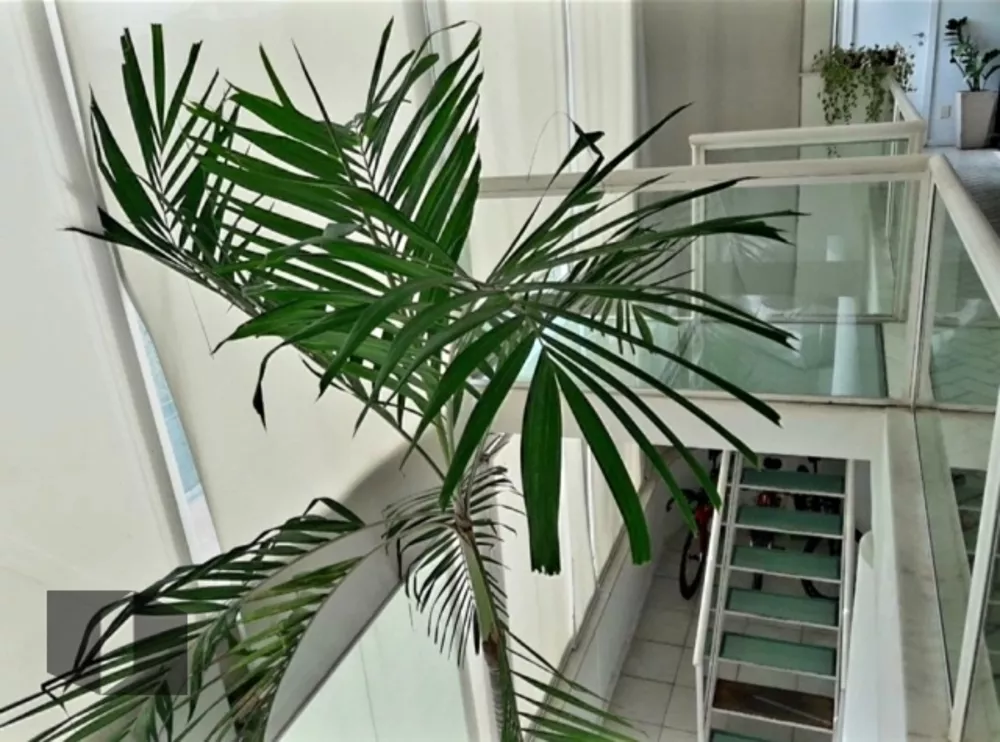 Cobertura, 3 quartos, 428 m² - Foto 45