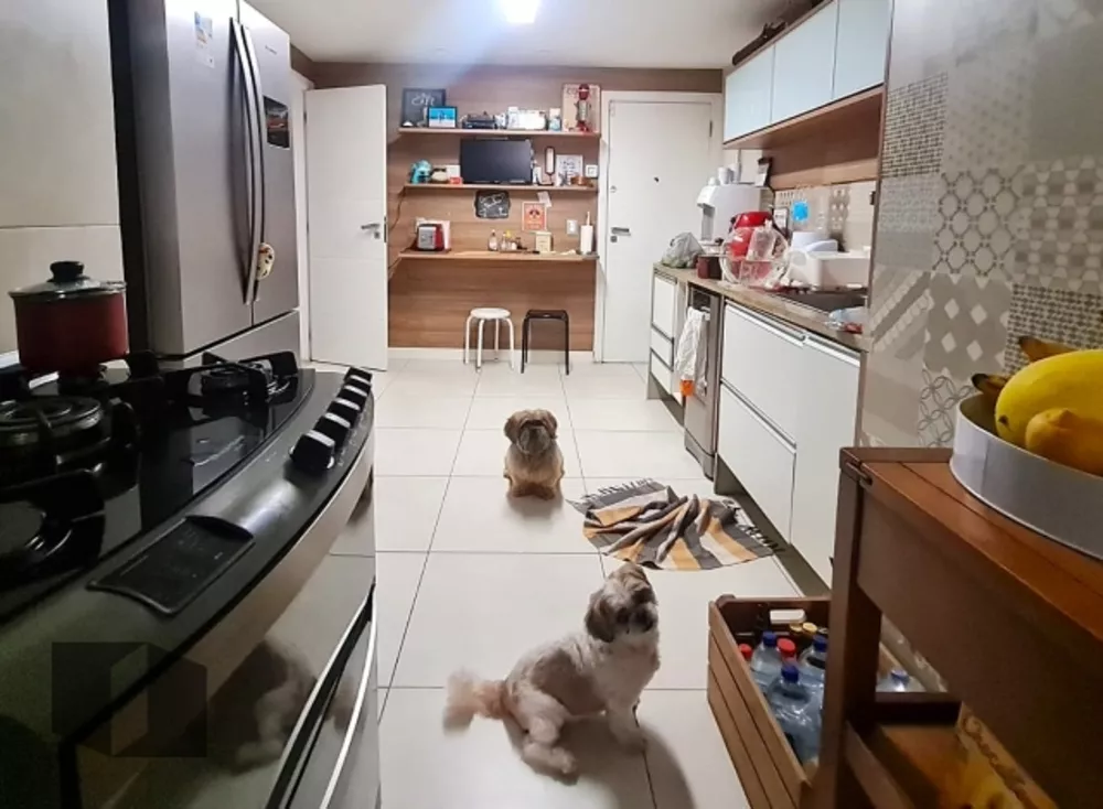 Cobertura, 3 quartos, 222 m² - Foto 32