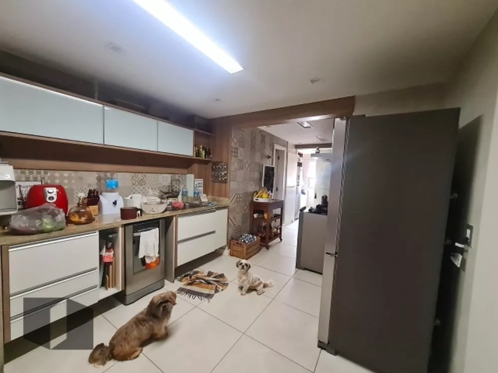 Cobertura, 3 quartos, 222 m² - Foto 23