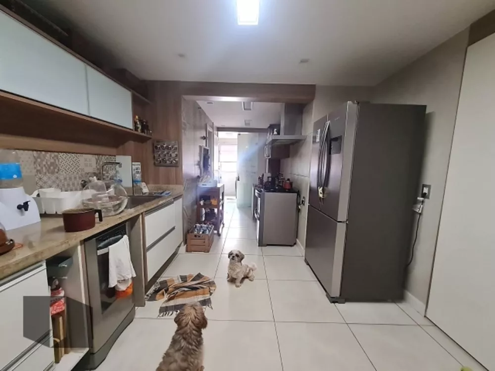 Cobertura, 3 quartos, 222 m² - Foto 41