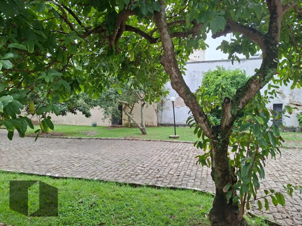 Casa, 4 quartos, 325 m² - Foto 27