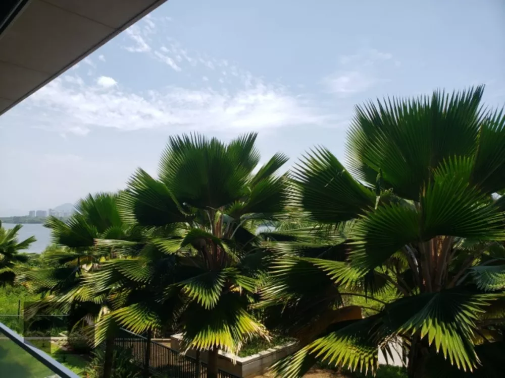 Apartamento, 1 quarto, 130 m² - Foto 4