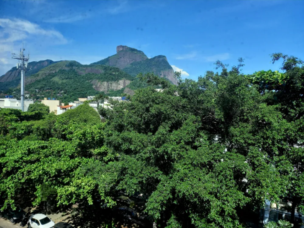 Cobertura, 4 quartos, 313 m² - Foto 6
