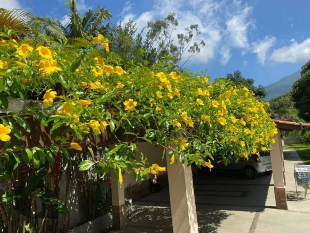 Casa, 5 quartos, 722 m² - Foto 40