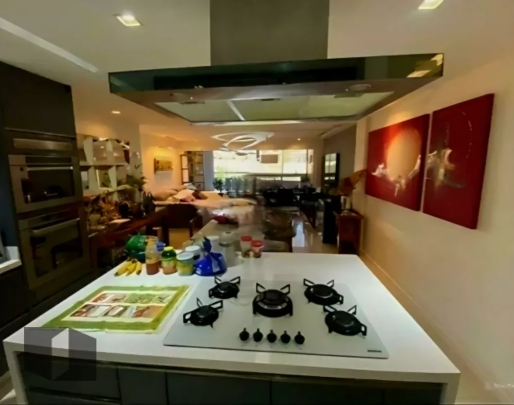 Cobertura, 3 quartos, 249 m² - Foto 5