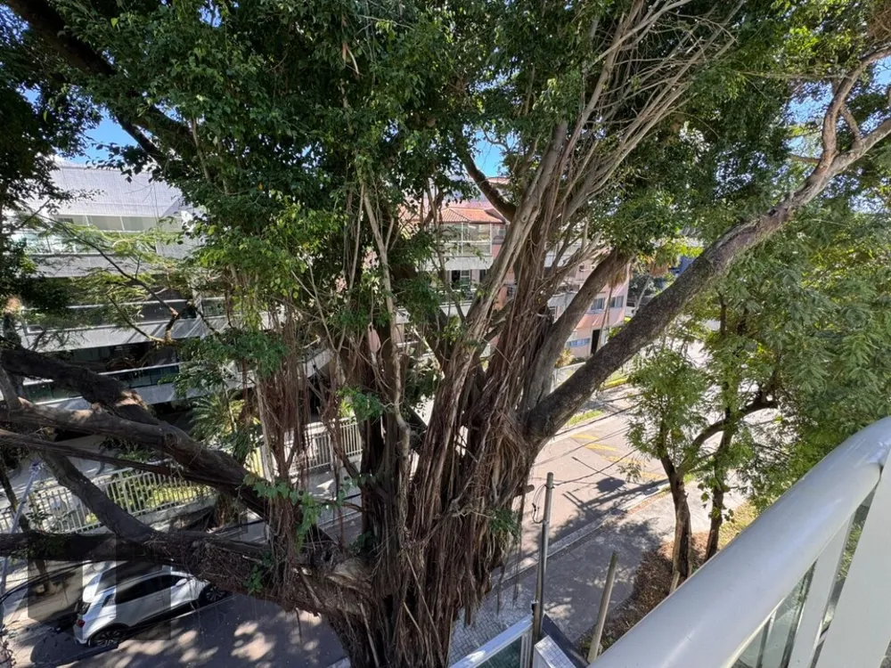 Cobertura, 4 quartos, 242 m² - Foto 32