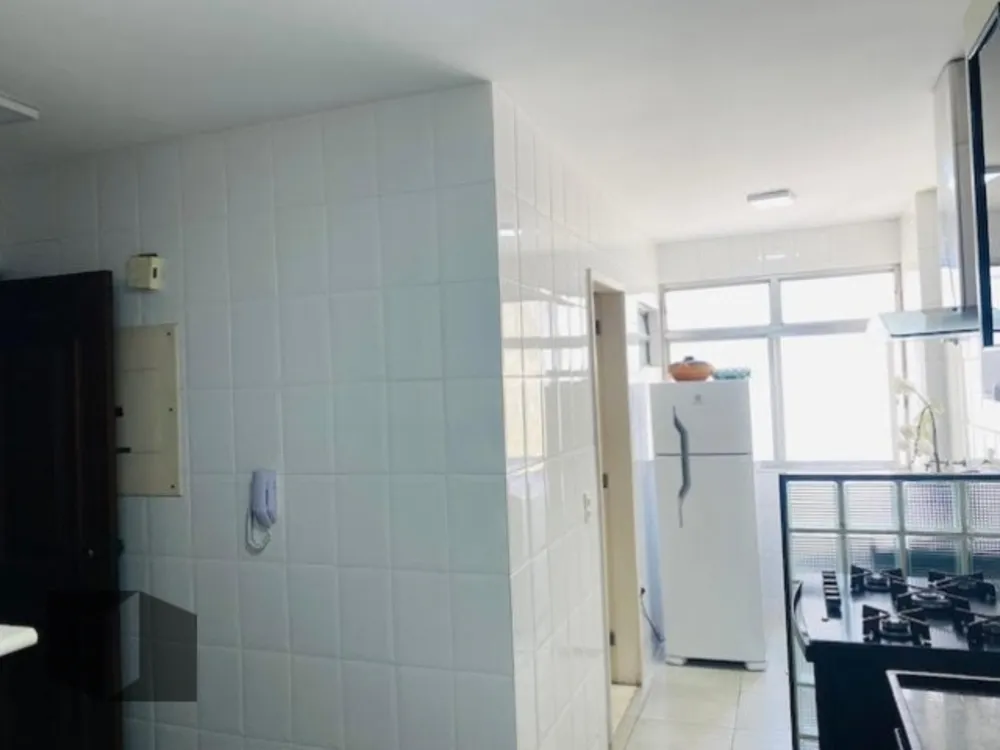 Cobertura, 3 quartos, 330 m² - Foto 26