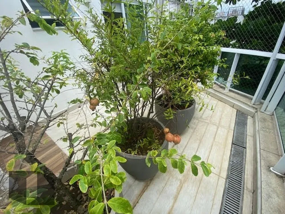 Cobertura, 4 quartos, 323 m² - Foto 32