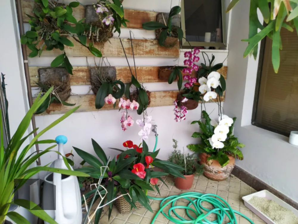 Cobertura, 5 quartos, 593 m² - Foto 15