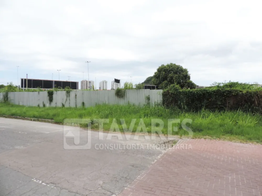 Terreno, 3884 m² - Foto 2