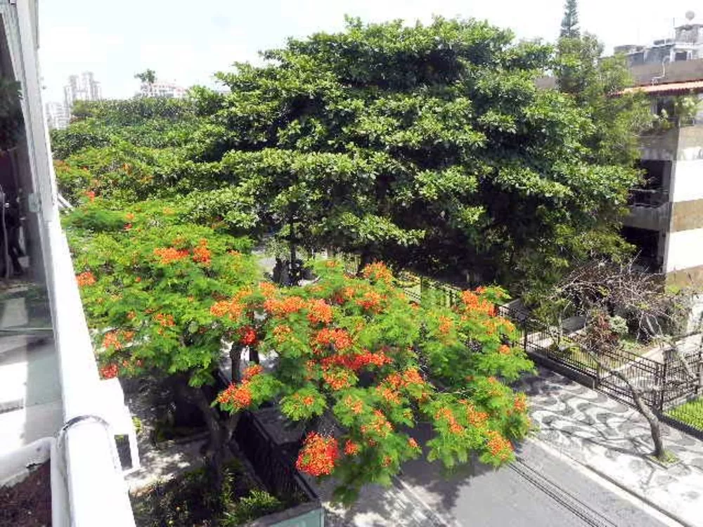 Cobertura, 3 quartos, 218 m² - Foto 15