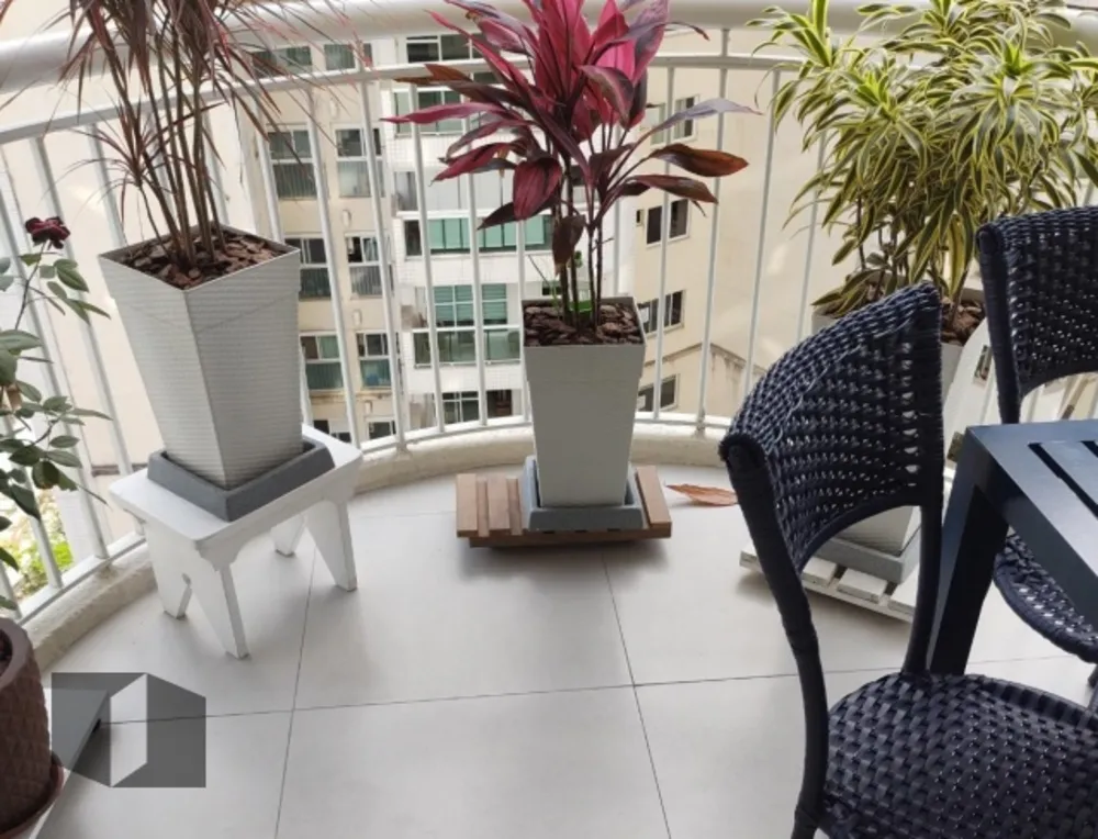 Apartamento, 3 quartos, 80 m² - Foto 5