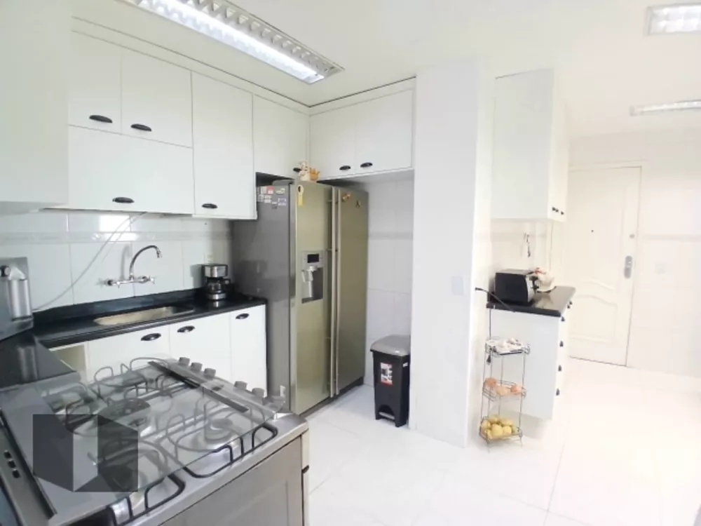 Cobertura, 4 quartos, 264 m² - Foto 32