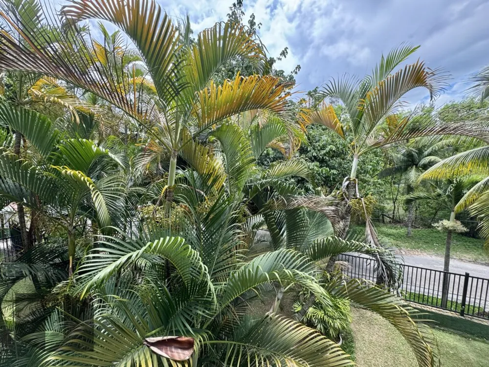 Apartamento, 2 quartos, 83 m² - Foto 34