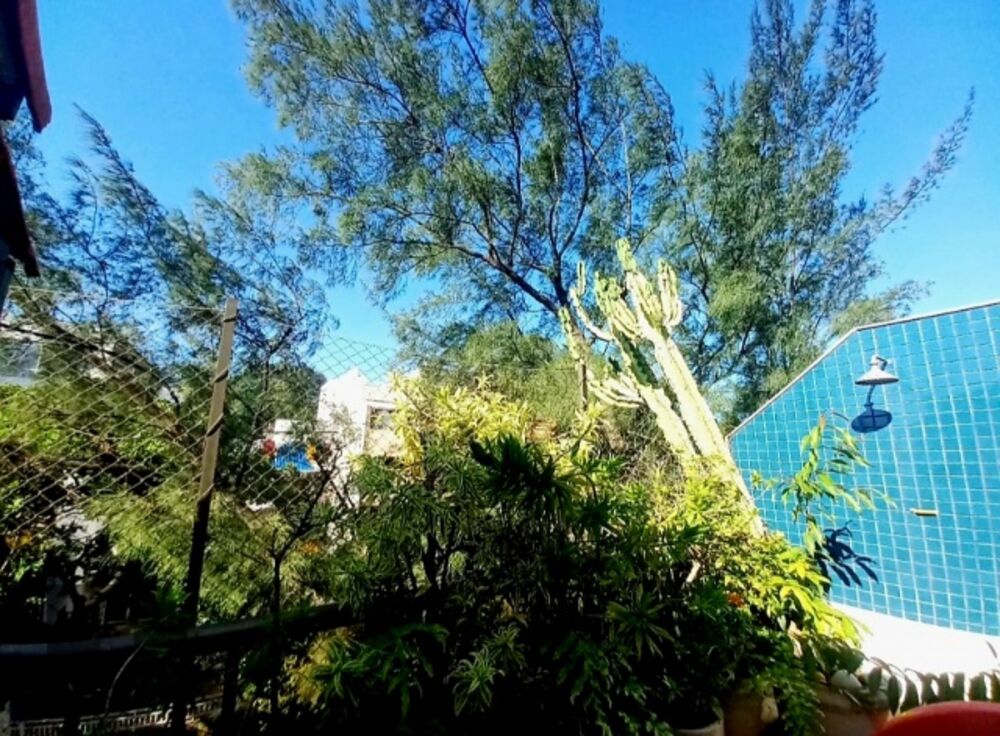 Cobertura, 3 quartos, 179 m² - Foto 12