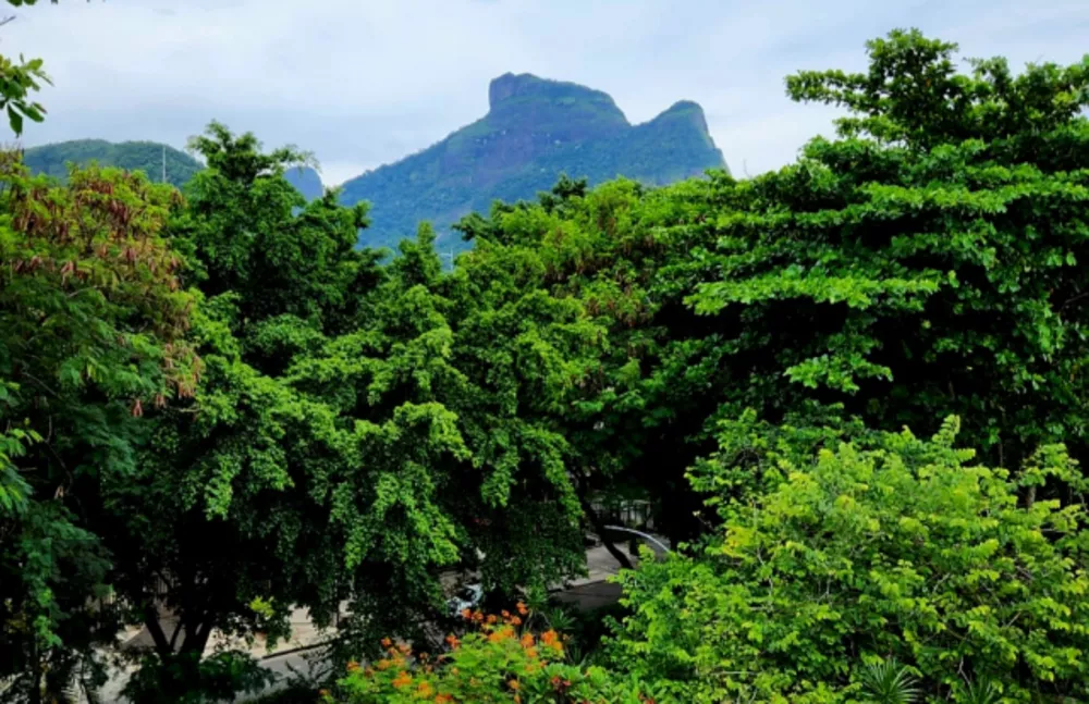 Cobertura, 3 quartos, 200 m² - Foto 24