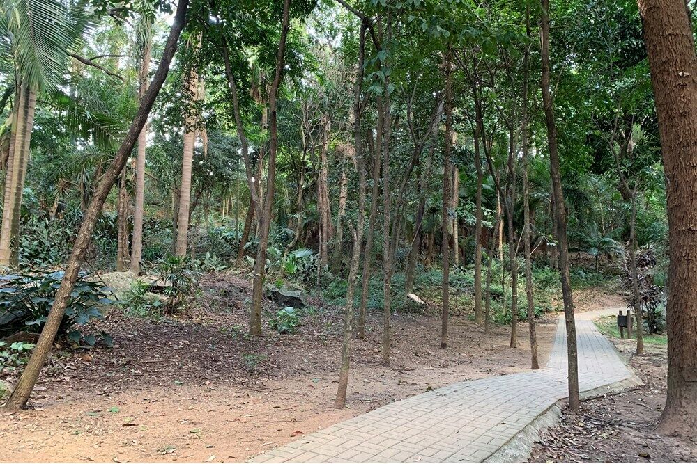 Apartamento, 3 quartos, 73 m² - Foto 5