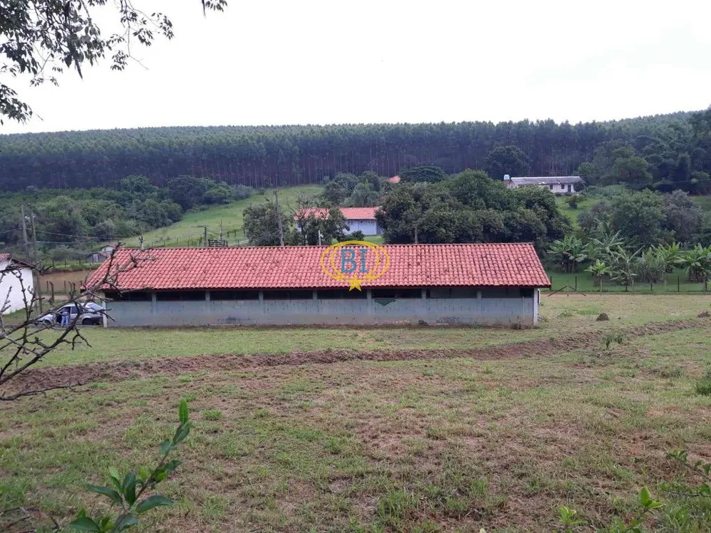 Sítio, 4 quartos, 2920 m² - Foto 4