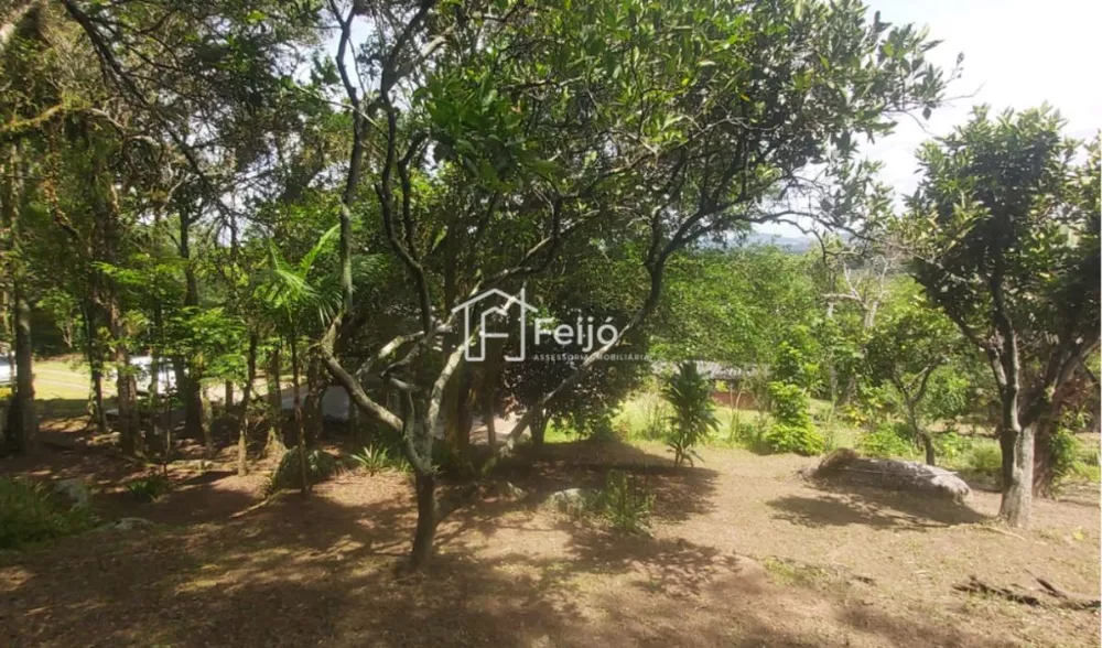 Fazenda à venda com 2 quartos, 6000m² - Foto 3