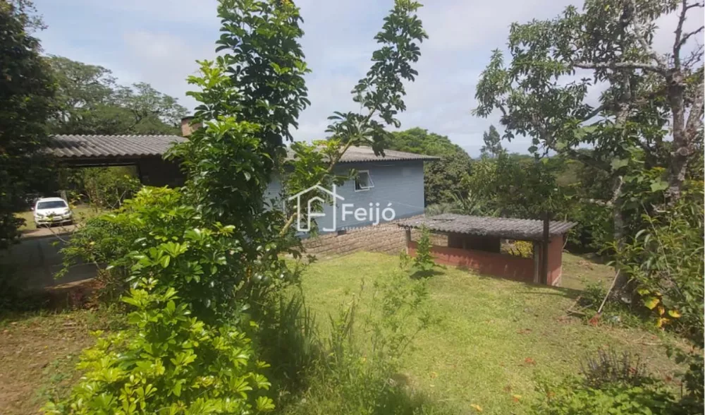 Fazenda à venda com 2 quartos, 6000m² - Foto 2