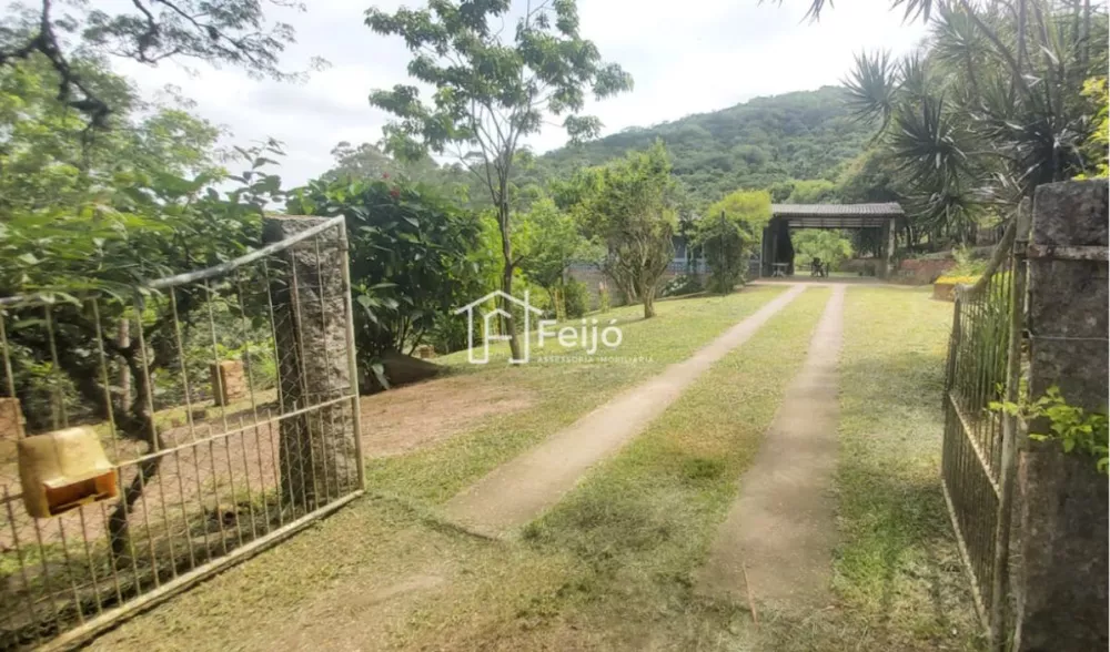 Fazenda à venda com 2 quartos, 6000m² - Foto 1